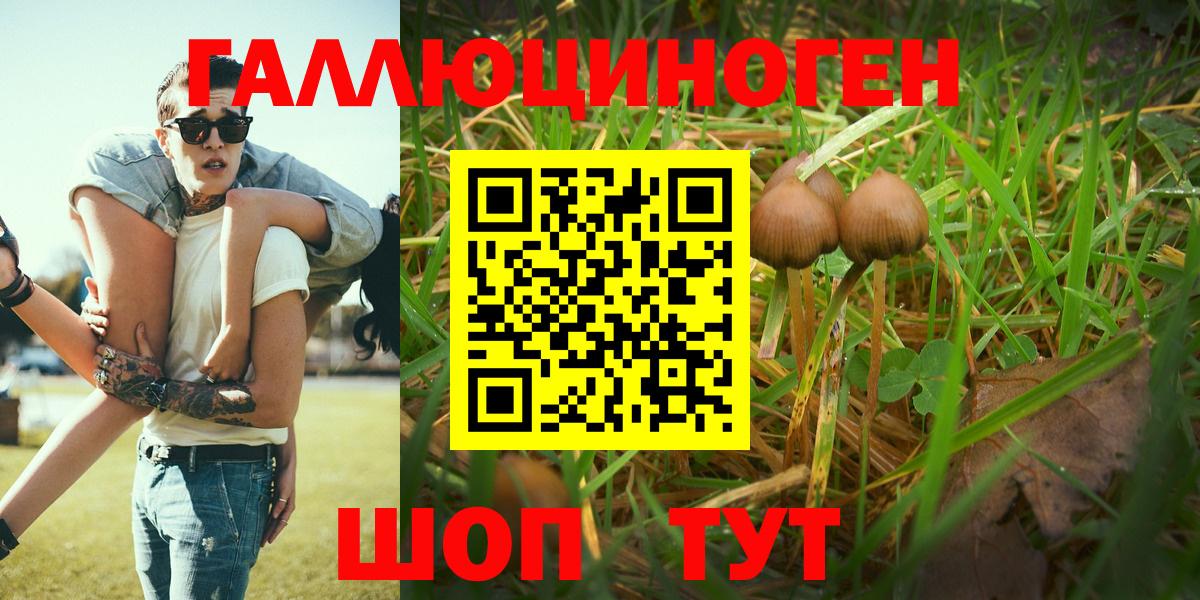 Псилоцибиновые грибы Psilocybe  Псилоцибиновые грибы GOLDEN TEACHER  Вход с VPN  Михайловка 